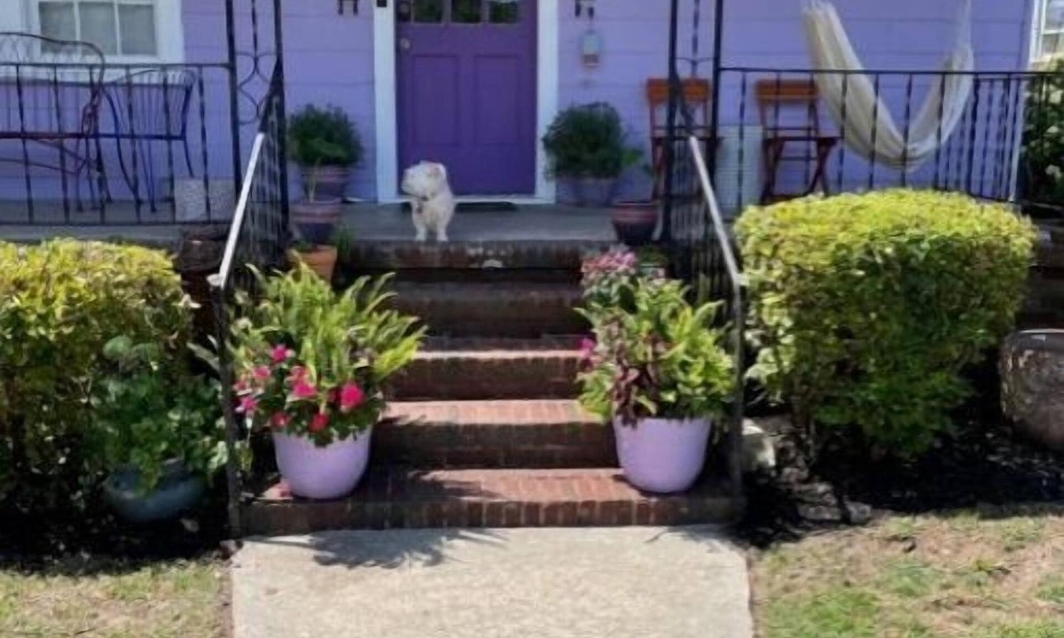 Charleston House | Beautiful home away from home in downtown Charleston.