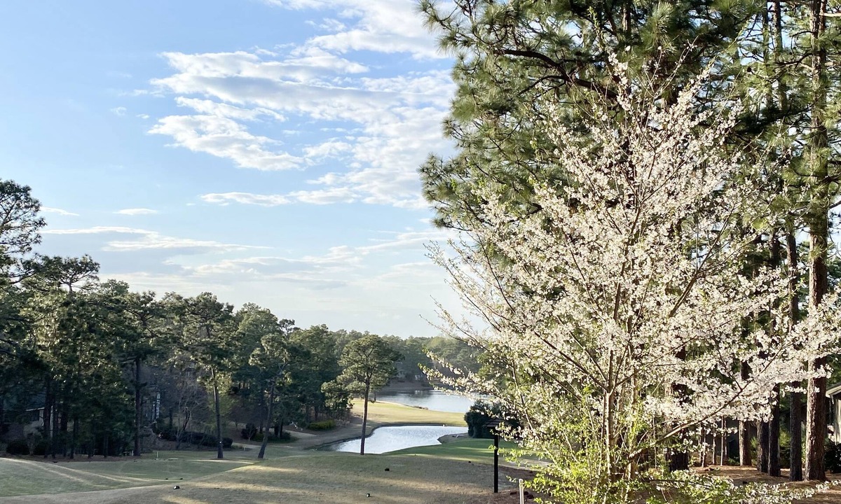 Pinehurst House | Golf Front Retreat on Pinehurst No. 6 with 3 Bedrooms/2 Bath/4 beds/Sleeps 8