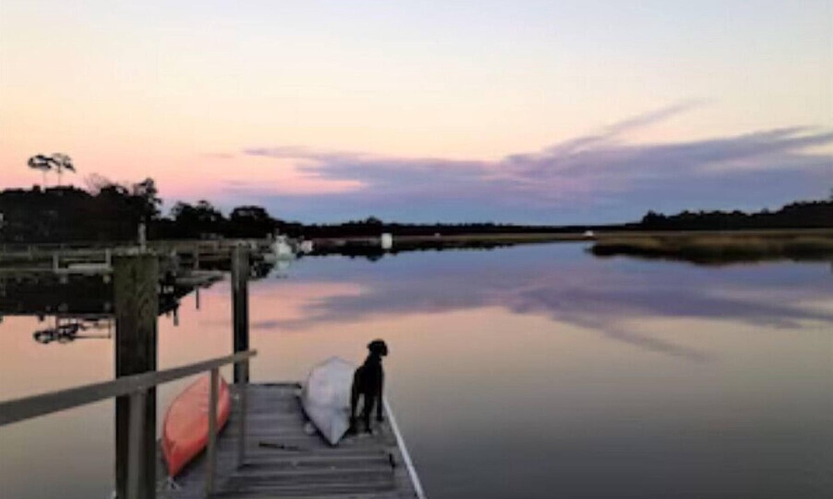 Johns Island House | House with private deep water dock-for >29 nights, 50% discount