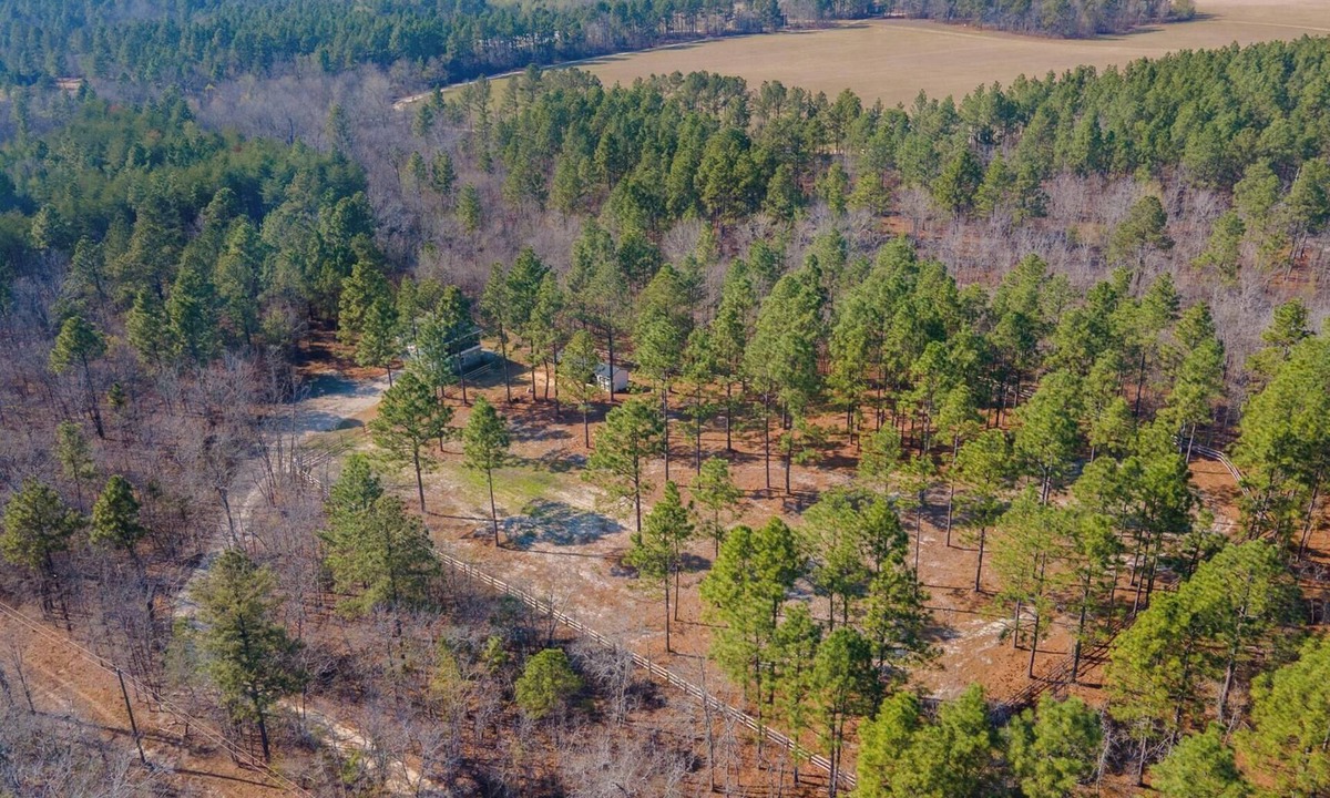 Windsor House | Private 15 Acre Equestrian Estate-HORSE ROOM AND BOARD INCLUDED