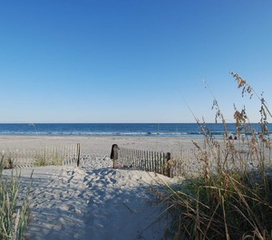 Summer Place 