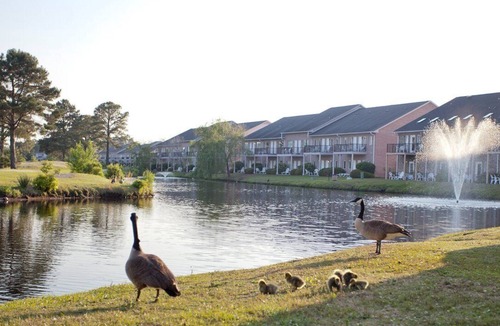 Surfside Beach Apartment | Beautiful 1 bedroom unit at resort, sleeps 4