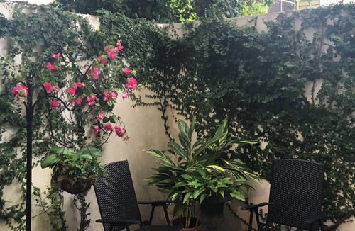 Harleston Village House | BEST LOCATION-Our home is located in the heart of Charleston's Historic District