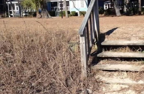 Melrose on the Beach House | Blue Breeze Cottage-Oceanfront with Golf Cart