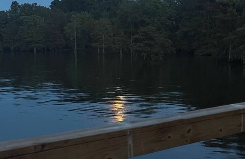Eutawville House | Boogs Cabin at Lake Marion - The perfect cozy place to fish, play and recharge.