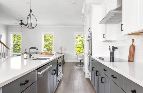 Mount Pleasant House | Bridge View - Spacious Luxury Home w/Rooftop Deck