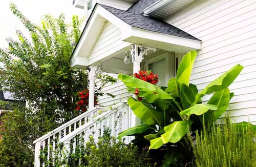 West Ashley House | Charleston Family Getaway-A Charleston Adventure Awaits-Spacious & Pet-Friendly!