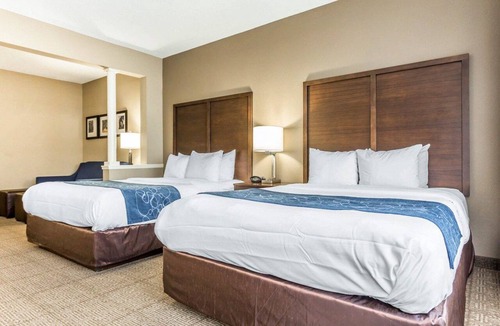 Mount Pleasant Hotel | Comfort Suites at Isle Of Palms Connector