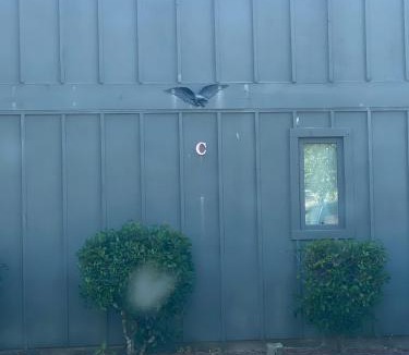 Crescent Beach House | Cozy Beach townhome,walk 2 beach,Fenced patio,pets ok