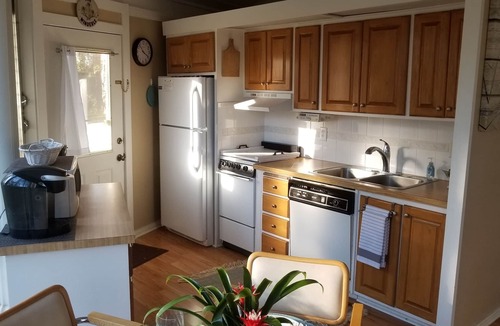 Sea Pines House | Cozy Treehouse Walkable to Harbour Town with Friendly Deer