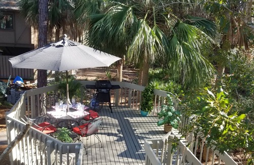 Sea Pines House | Cozy Treehouse Walkable to Harbour Town with Friendly Deer