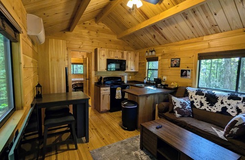 Clayton Cabin | Glamping at Tiny House! Perfect Romantic Cabin Getaway on Horse Farm