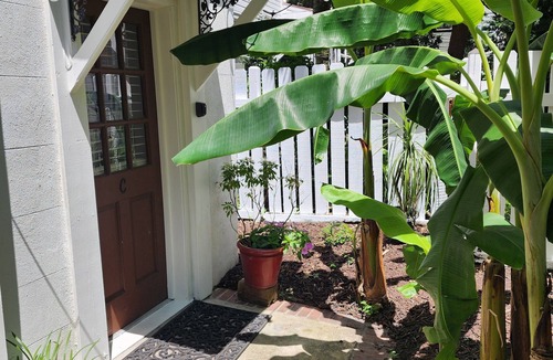 Harleston Village Apartment | High End One Bedroom Apartment located in the Heart of Charleston