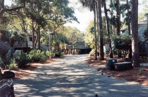 West Beach Cottage | Lagoon & Oceanview! Best island location! Nice dogs stay free!
