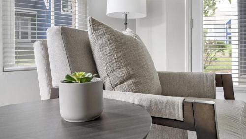 Charlotte Apartment | Landing Modern Apartment with Amazing Amenities (ID1380X259)