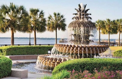 North Charleston House | Live on the Water! Lake Palmetto Palm w/Patio - 10Min to Downtown & Beaches