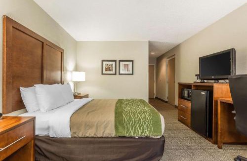 Summerville Hotel | Quality Inn Summerville-Charleston