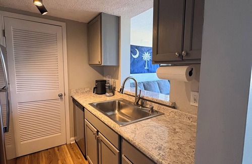 Columbia Condo | Renovated 1 BR, 1 BA in the Heart of USC Campus