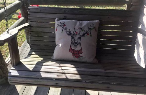 Plain View Cabin | Rustic Cabin Rental on Secluded Farmland near Raleigh, North Carolina