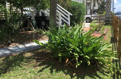 Folly Beach House | Welcome to Swell Cottage! Awesome Second Row Folly Beach with great ocean views.