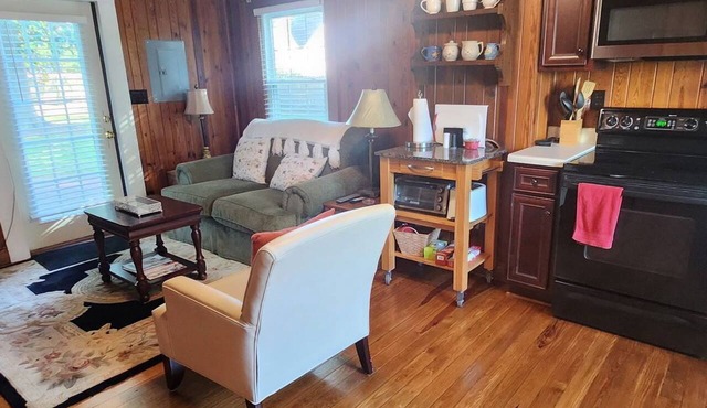 1- king bedroom guesthouse, pet friendly in charming downtown Clinton