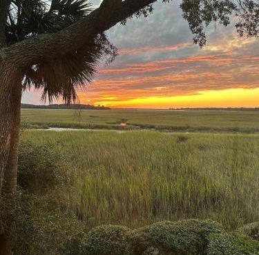 1806 Heron Point