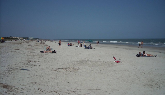 AUG 16-NOV&:OCEANVIEW3RDFL,2B/2B,50ydtoBEACH,POOL, NEWtile shower,ELEVATOR