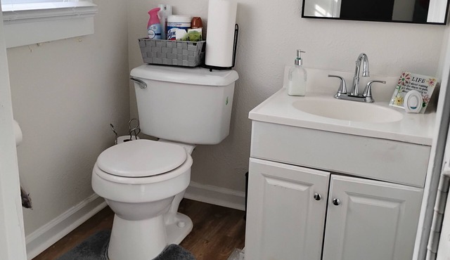 Awesome 3-bedroom house with AC in delightful downtown Augusta Georgia