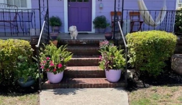 Beautiful home away from home in downtown Charleston.