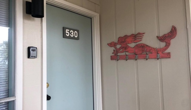 Best Value on Fripp! Dog Friendly! New Rental!
