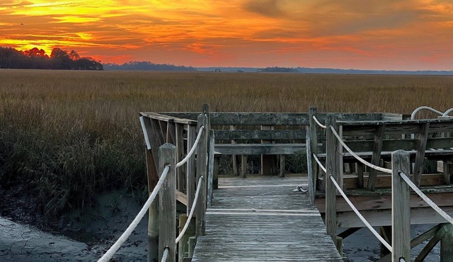 Blue Heron by Sandpiper | Near Beach