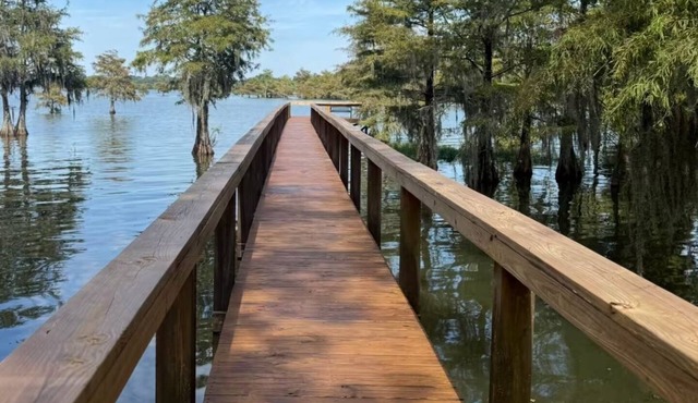 Boogs Cabin at Lake Marion - The perfect cozy place to fish, play and recharge.