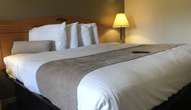 Budget Inn Timmonsville