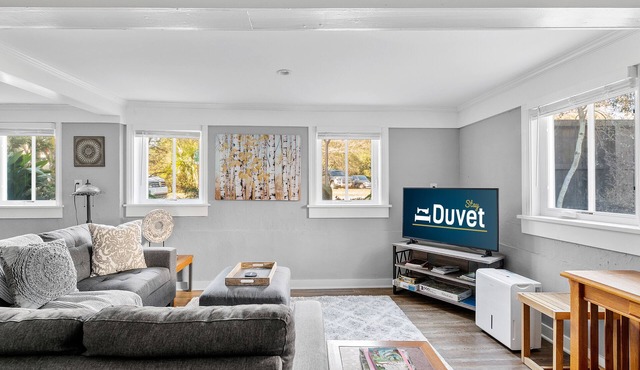 Comfy, Cozy, Captivating | Park View