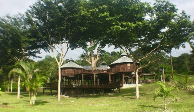 Exotic High End Unique Off-The-Grid Treehouse, steps away from the Mopan River! in Bullet Tree Falls