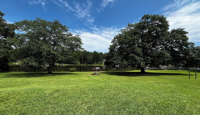 Historic Charm on the Lake Stay by a 475 Year-Old Oak with Private Dock BoatRamp