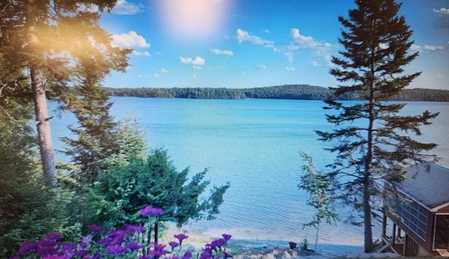 Modern Tiny Cottage on Eagle Lake with South facing Private Beach in Machin