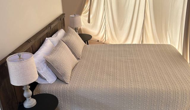 Pilot Mountain Glamping Resort in Pinnacle