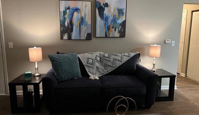 Queen bed+sofabed Streaming gym extended stay 5-15 minutes hospital/entertainment/downtown/airports