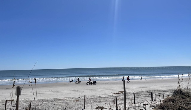 Renovated apt short walk to beach, Central AC, Fast WiFi