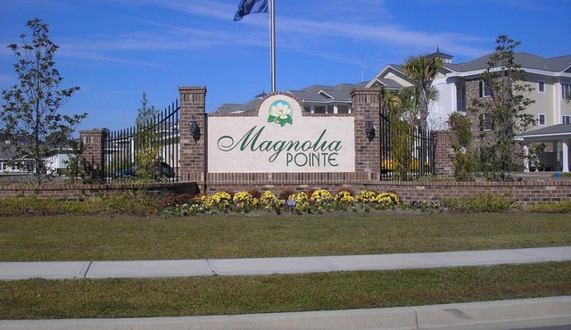 Snowbirds Welcomed II - Magnolia Pointe 3BR/2BA Condo,Lakeview, WiFi
