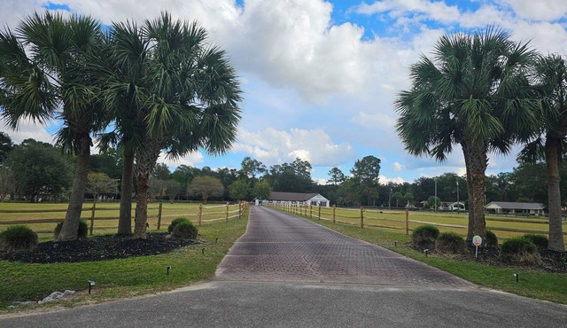 The Ranch: A Spacious 5-Bedroom Home with Pool in Quiet Neighborhood