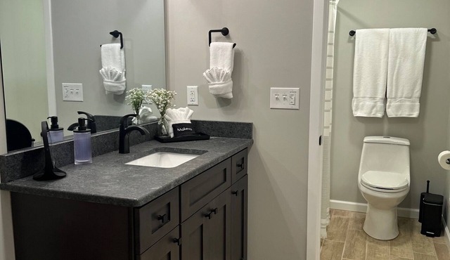 Trailhead Cottage - Half mile to PNF, dog friendly! in Brevard