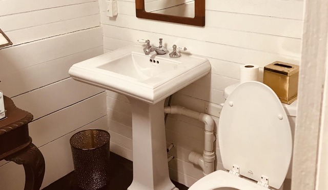 Unique rustic elegant excursion, sleeps 4 in Georgetown