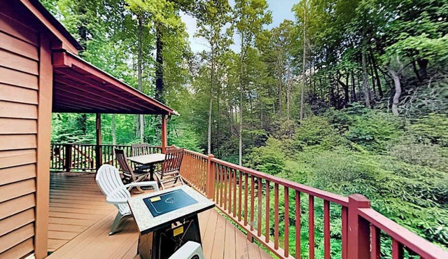 Updated Creekside Getaway with Private Waterfall | Near Asheville & Lake Lure in Gerton