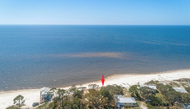 Your Fall Escape: FSU Football & Scalloping in Alligator Point