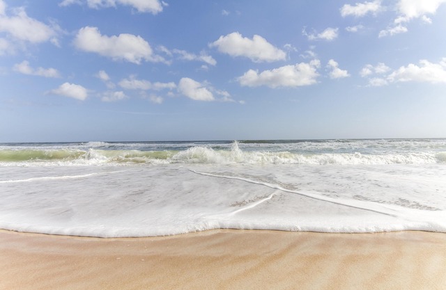 Excellent Location ~ Pet Friendly ~ Only Steps to the Beach!!! in Saint Augustine