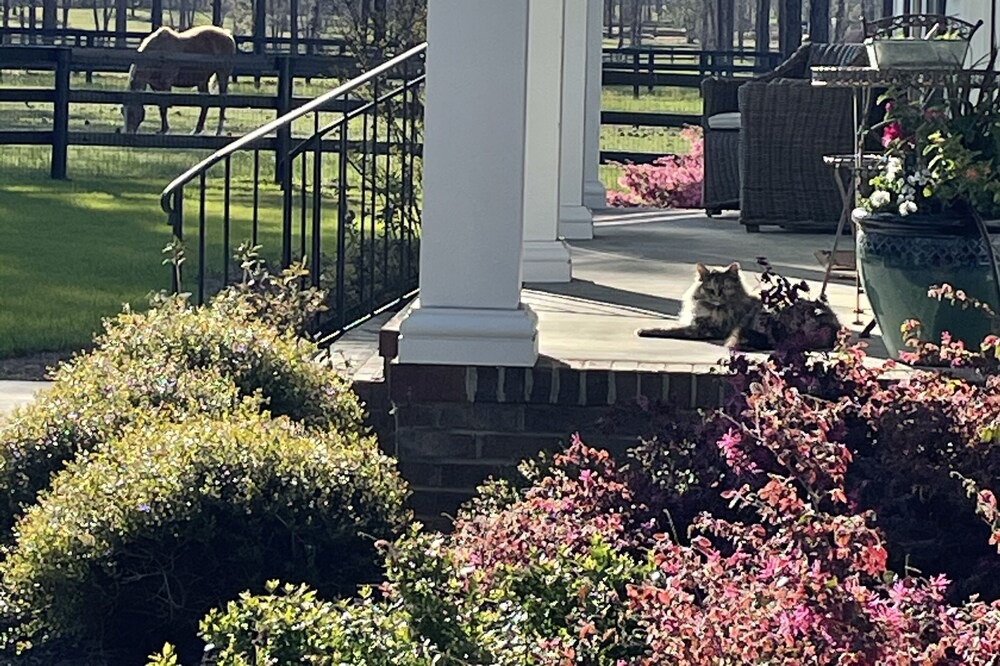 Photo of Others in Aiken