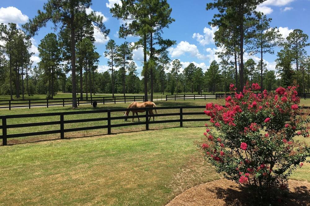 Photo of Others in Aiken