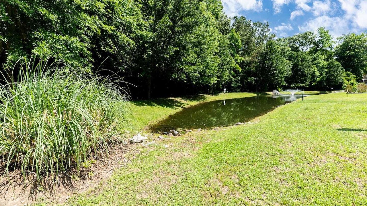 Photo of Outdoor in Goose Creek